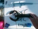 AF22.SE3-2-11